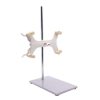 Soporte Universal