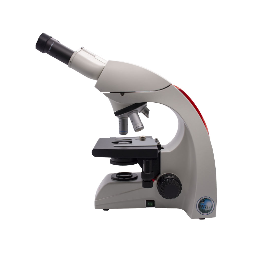 Microscopio Binocular