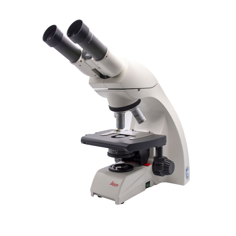 Microscopio Binocular